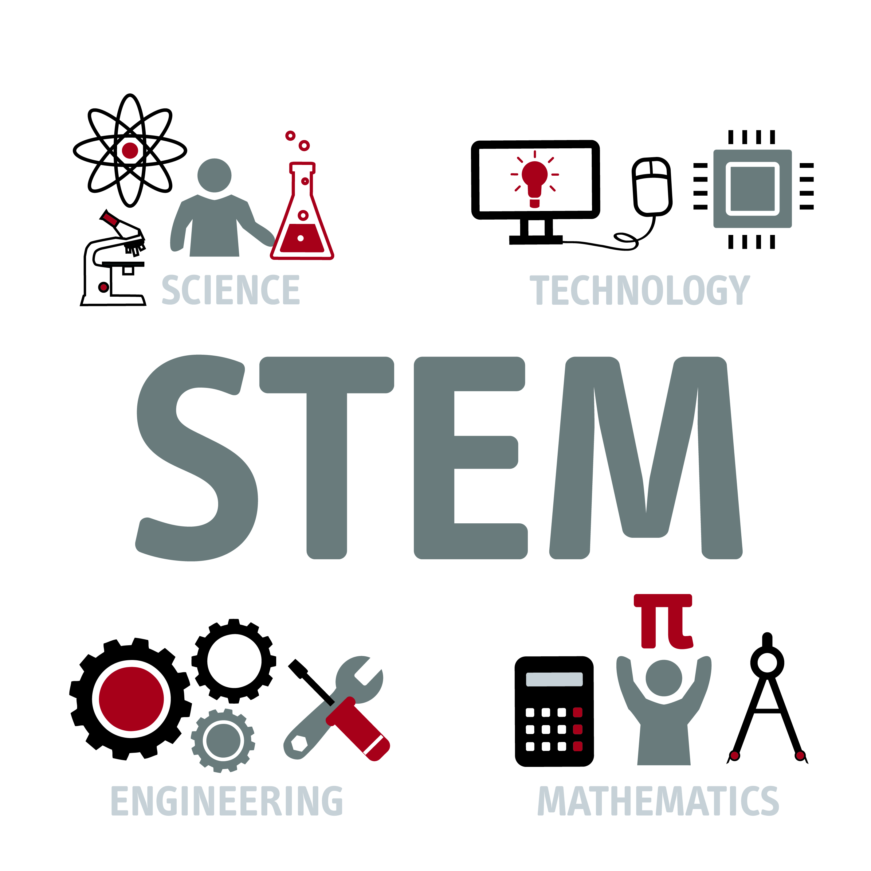 STEM intro graphic