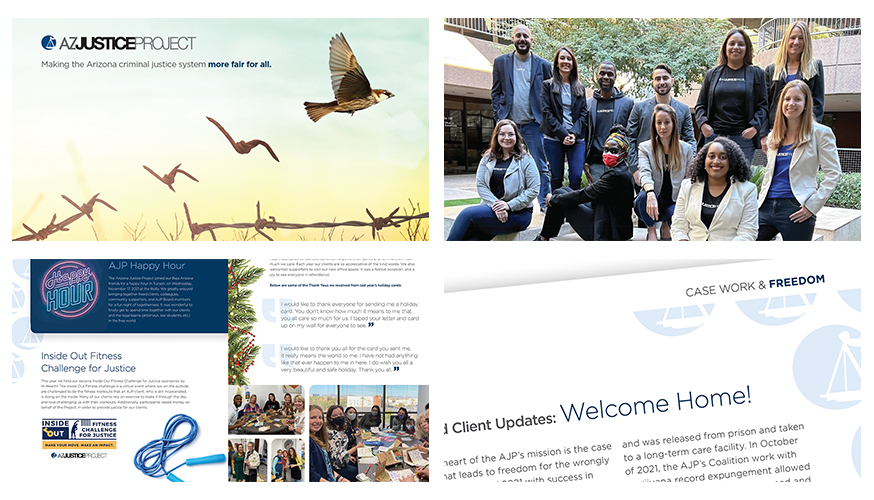 Collage of Fabcoms work for this campaign