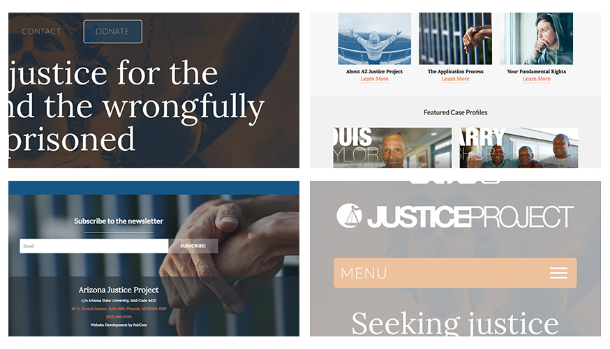 Collage of Fabcoms work for this campaign