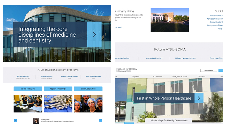 Collage of Fabcoms work for this campaign