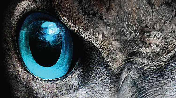 High-resolution zoomed in image showing design detail of a print ad created By FabCom featuring the ice blue eye and grey feathers of an owl.