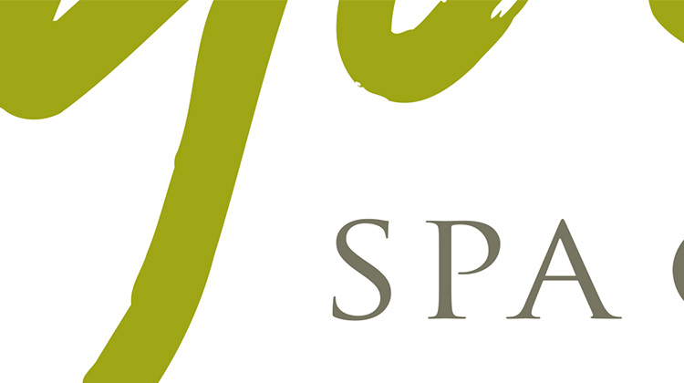 High-resolution zoomed in image of day spa logo.