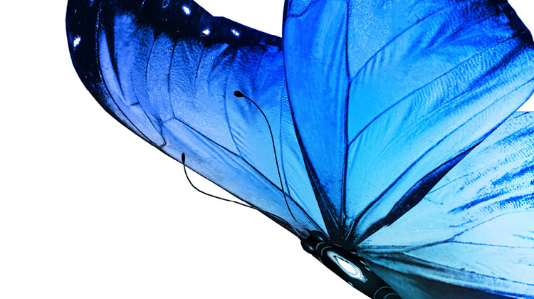 High-resolution zoomed in image of a print ad FabCom created showing intricate design detail and color quality. Images features a butterfly with royal blue wings.