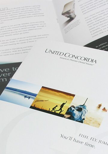 FabCom's dental insurance brochure encouraging clients to fish, fly, or jump with accompanying images without worry.