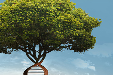 Close up of print ad created by FabCom Integrated Strategic Marketing for healthcare institute featuring a tree with a twisted ladder trunk showing intricate ad detail.