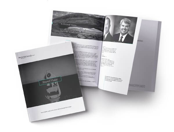 corporate identity merger communications package