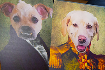 Dog paintings