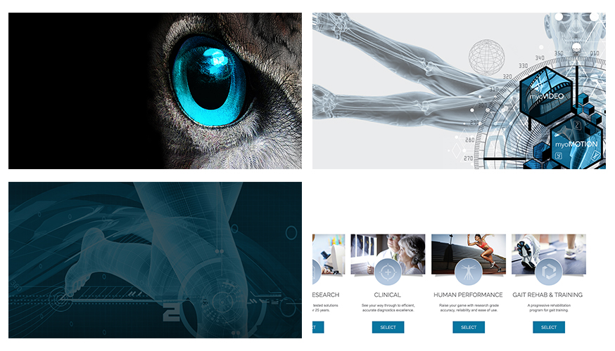 Collage of Fabcoms work for this campaign