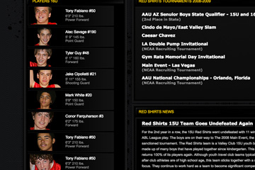 Player bios are featured here in FabCom's pro basketball web design.