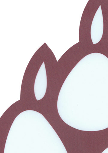 Zoomed in image showing design detail and quality of an image within the website FabCom developed for a high school athletics team. Images features a part of the school logo.