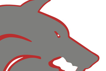 Zoomed in image showing design detail and quality of an image within the website FabCom developed for a high school athletics team. Images features a part of the school mascot.
