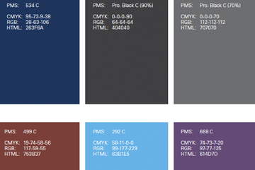 Branding colors for software integrator company