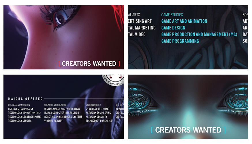 Collage of Fabcoms work for this campaign