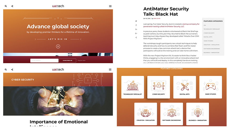 Collage of Fabcoms work for this campaign