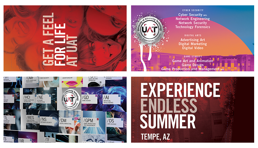 Collage of Fabcoms work for this campaign