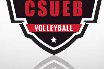 Zoomed in image of the logo FabCom designed for a university volleyball team. Logo has a shadow reflection at the bottom.